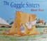 Go to record The Gaggle sisters river tour