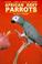 Go to record African grey parrots