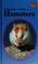 Go to record A beginner's guide to hamsters