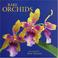 Go to record Rare orchids
