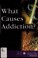 Go to record What causes addiction?