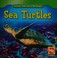 Go to record Sea turtles