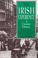 Go to record The Irish experience : a concise history