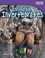 Go to record Incredible invertebrates