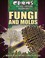 Go to record Fungi and molds