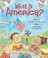 Go to record What is America?