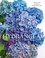 Go to record Hydrangeas : beautiful varieties for home and garden