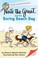 Go to record Nate the Great and the boring beach bag