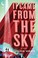 Go to record It came from the sky : a novel