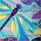 Go to record Dragonfly