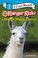 Go to record I wish I was a llama