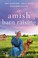 Go to record An Amish barn raising : three stories