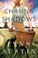 Go to record Chasing shadows