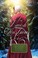 Go to record An Amish Christmas love : four novellas