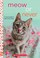 Go to record Meow or never