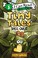 Go to record Tiny tales : shell quest
