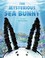 Go to record The mysterious sea bunny