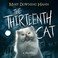 Go to record The thirteenth cat