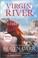 Go to record A Virgin River Christmas