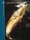 Go to record Largemouth bass