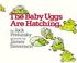 Go to record The baby uggs are hatching