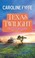 Go to record Texas twilight