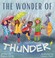 Go to record The wonder of thunder : lessons from a thunderstorm