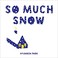 Go to record So much snow