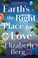 Go to record Earth's the right place for love a novel