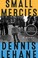 Go to record Small mercies a novel