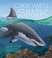 Go to record Great white shark