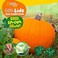 Go to record Seed, sprout, grow!