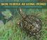 Go to record Box Turtle at Long Pond