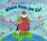 Go to record Where does Joe go?