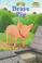 Go to record Brave pig