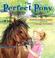 Go to record The perfect pony