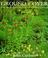 Go to record Ground cover : a thousand beautiful plants for difficult p...