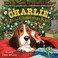 Go to record Charlie and the Christmas kitty