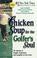 Go to record Chicken soup for the golfer's soul : 101 stories of insigh...