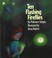 Go to record Ten flashing fireflies