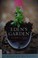 Go to record Eden's garden