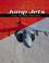 Go to record Jump jets : the AV-8B Harriers