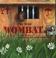 Go to record The wild wombat