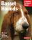 Go to record Basset hounds : everything about purchase, feeding, and he...