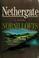 Go to record Nethergate