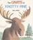 Go to record The gnats of Knotty Pine