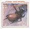 Go to record Funnel web spiders