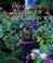 Go to record Decorative accents for the garden