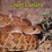 Go to record Desert dwellers