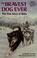 Go to record The bravest dog ever : the true story of Balto